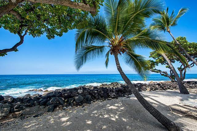 Vila Kona Isle E23 Kailua-Kona Exteriér fotografie